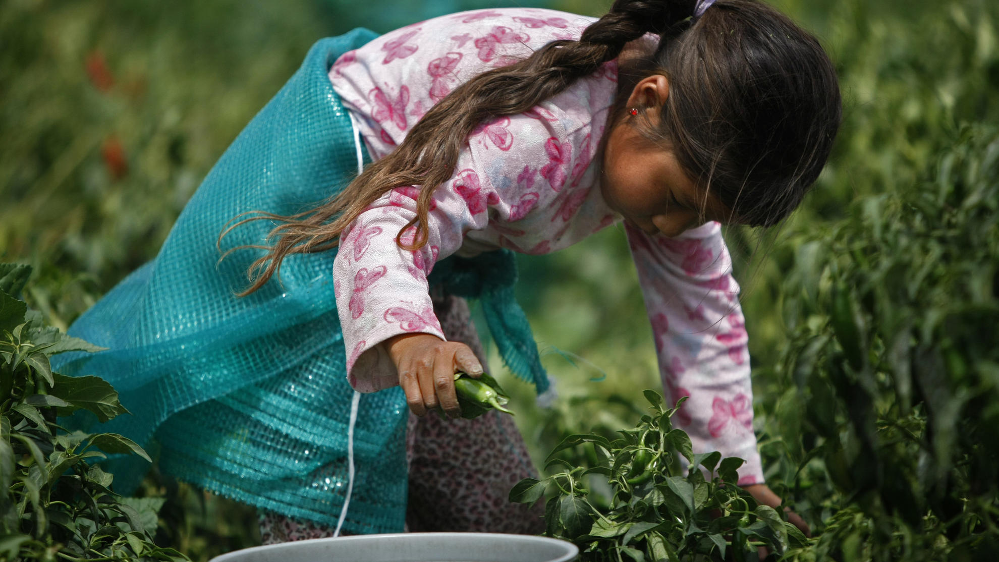 Product of Mexico: Children (Los Angeles Times)